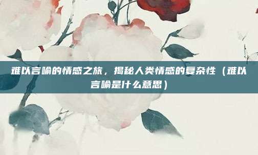难以言喻的情感之旅，揭秘人类情感的复杂性（难以言喻是什么意思）