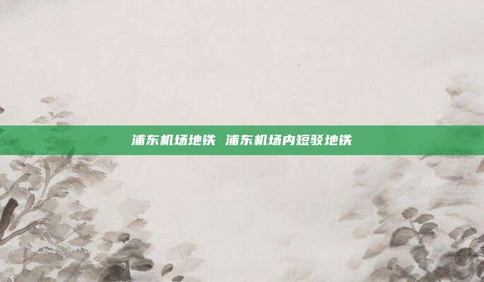 浦东机场地铁 浦东机场内短驳地铁