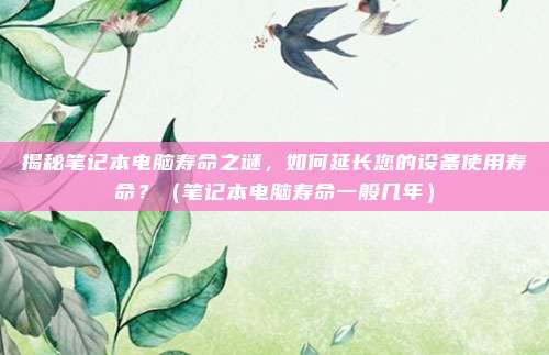 揭秘笔记本电脑寿命之谜，如何延长您的设备使用寿命？（笔记本电脑寿命一般几年）