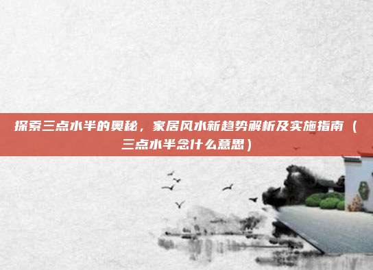 探索三点水半的奥秘，家居风水新趋势解析及实施指南（三点水半念什么意思）