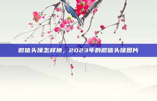 微信头像怎样换,2023年的微信头像图片