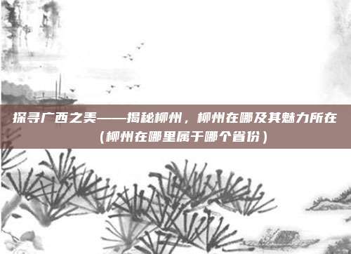 探寻广西之美——揭秘柳州，柳州在哪及其魅力所在（柳州在哪里属于哪个省份）