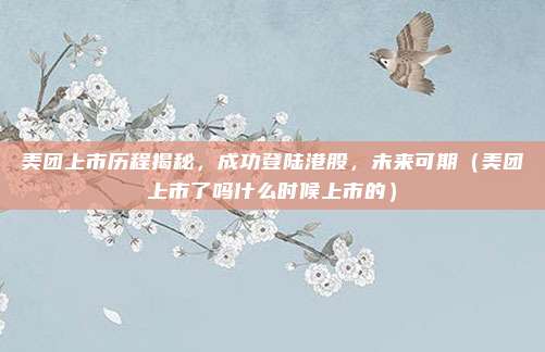 美团上市历程揭秘，成功登陆港股，未来可期（美团上市了吗什么时候上市的）