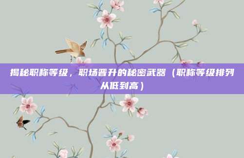 揭秘职称等级，职场晋升的秘密武器（职称等级排列从低到高）