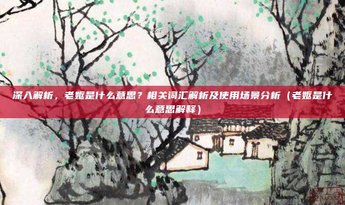 深入解析，老妪是什么意思？相关词汇解析及使用场景分析（老妪是什么意思解释）