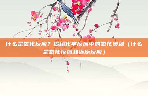 什么是氧化反应?揭秘化学反应中的氧化奥秘(什么是氧化反应和还原反应)