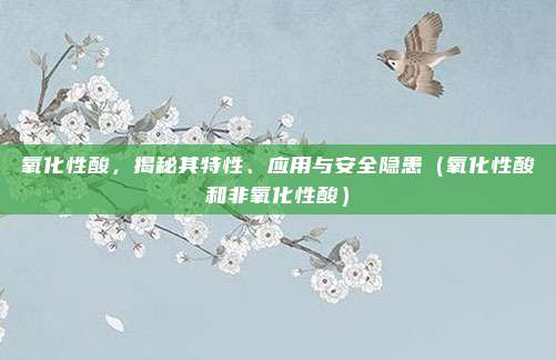 氧化性酸，揭秘其特性、应用与安全隐患（氧化性酸和非氧化性酸）