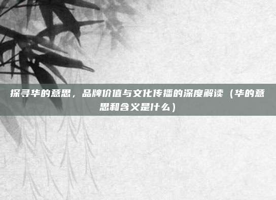 探寻华的意思，品牌价值与文化传播的深度解读（华的意思和含义是什么）