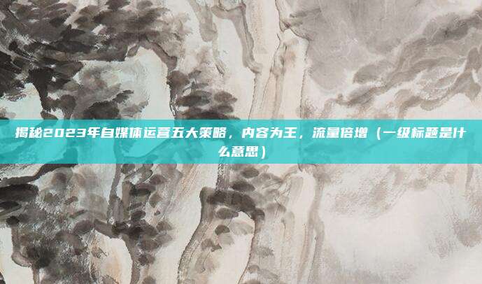 揭秘2023年自媒体运营五大策略，内容为王，流量倍增（一级标题是什么意思）