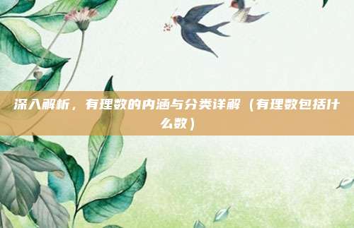 深入解析，有理数的内涵与分类详解（有理数包括什么数）