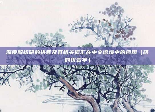 深度解析研的拼音及其相关词汇在中文语境中的应用（研的拼音字）