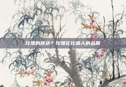玫瑰的颜色？玫瑰花比喻人的品质