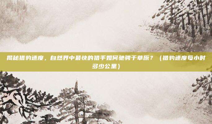 揭秘猎豹速度，自然界中最快的猎手如何驰骋于草原？（猎豹速度每小时多少公里）