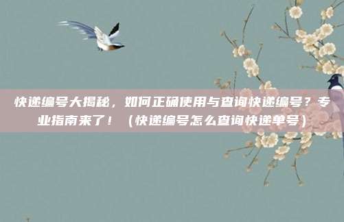快递编号大揭秘，如何正确使用与查询快递编号？专业指南来了！（快递编号怎么查询快递单号）