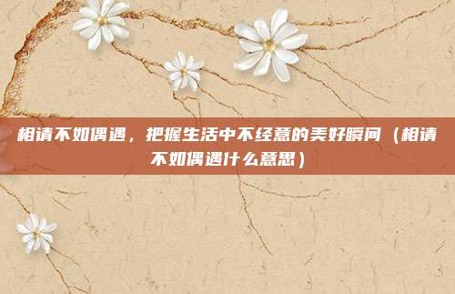 相请不如偶遇，把握生活中不经意的美好瞬间（相请不如偶遇什么意思）