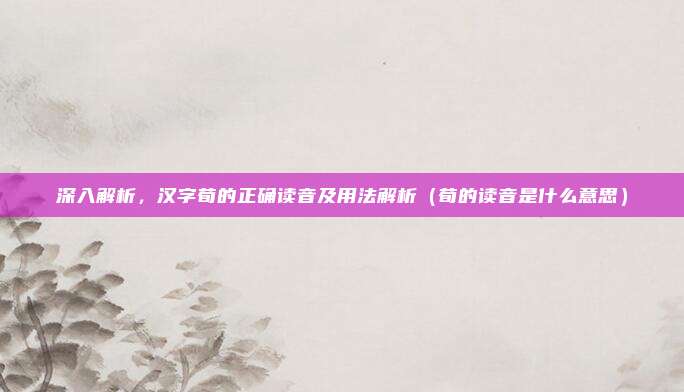 深入解析，汉字荀的正确读音及用法解析（荀的读音是什么意思）