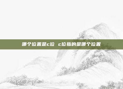 哪个位置是c位 c位指的是哪个位置