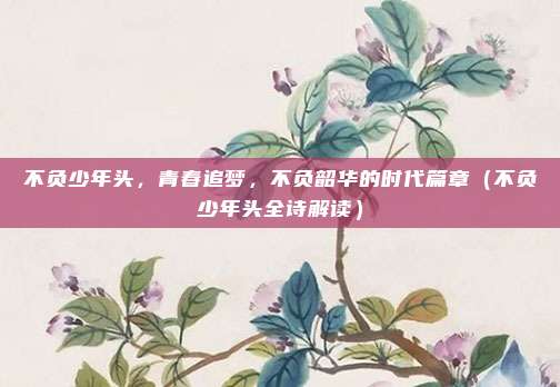 不负少年头，青春追梦，不负韶华的时代篇章（不负少年头全诗解读）