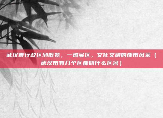 武汉市行政区划概览，一城多区，文化交融的都市风采（武汉市有几个区都叫什么区名）