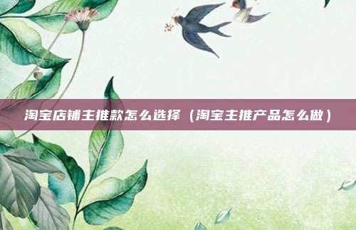 淘宝店铺主推款怎么选择（淘宝主推产品怎么做）