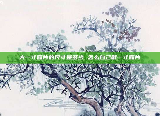 大一寸照片的尺寸是多少 怎么自己截一寸照片