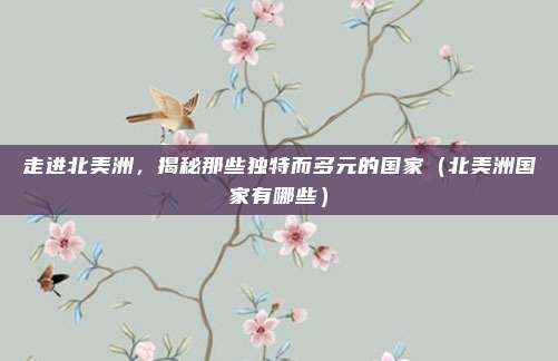 走进北美洲，揭秘那些独特而多元的国家（北美洲国家有哪些）