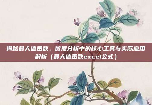 揭秘最大值函数，数据分析中的核心工具与实际应用解析（最大值函数excel公式）