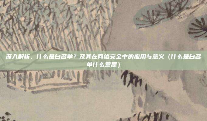 深入解析，什么是白名单？及其在网络安全中的应用与意义（什么是白名单什么意思）