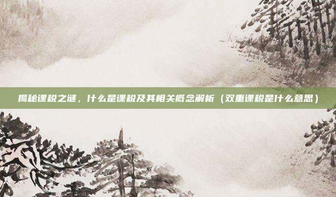 揭秘课税之谜，什么是课税及其相关概念解析（双重课税是什么意思）