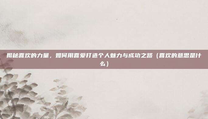 揭秘喜欢的力量，如何用喜爱打造个人魅力与成功之路（喜欢的意思是什么）