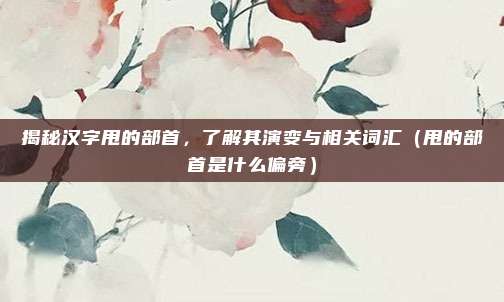 揭秘汉字甩的部首，了解其演变与相关词汇（甩的部首是什么偏旁）