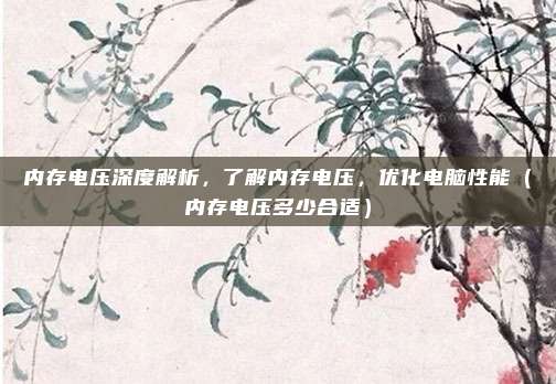 内存电压深度解析，了解内存电压，优化电脑性能（内存电压多少合适）