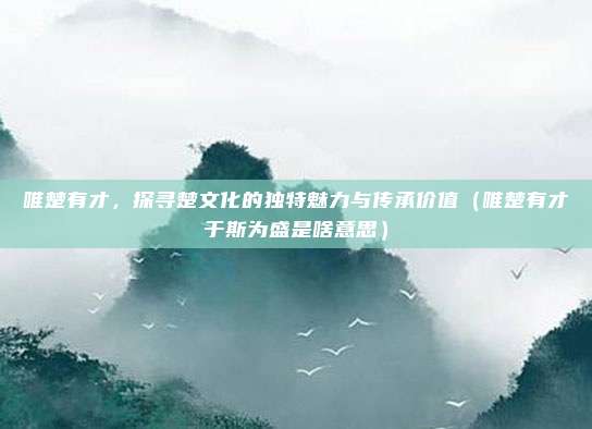 唯楚有才，探寻楚文化的独特魅力与传承价值（唯楚有才于斯为盛是啥意思）