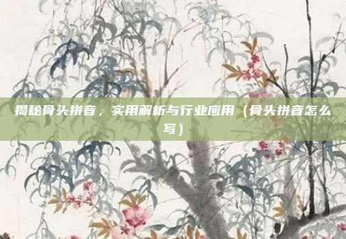 揭秘骨头拼音，实用解析与行业应用（骨头拼音怎么写）
