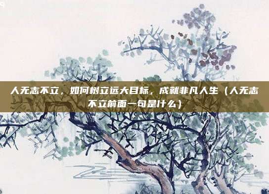 人无志不立，如何树立远大目标，成就非凡人生（人无志不立前面一句是什么）