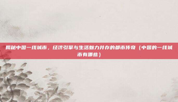 揭秘中国一线城市，经济引擎与生活魅力并存的都市传奇（中国的一线城市有哪些）
