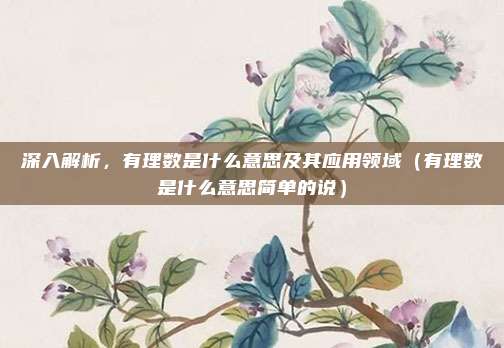 深入解析，有理数是什么意思及其应用领域（有理数是什么意思简单的说）