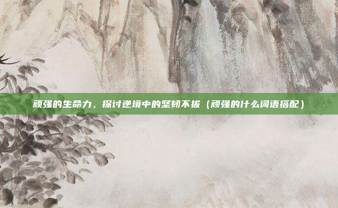 顽强的生命力，探讨逆境中的坚韧不拔（顽强的什么词语搭配）