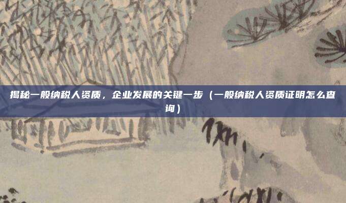 揭秘一般纳税人资质，企业发展的关键一步（一般纳税人资质证明怎么查询）