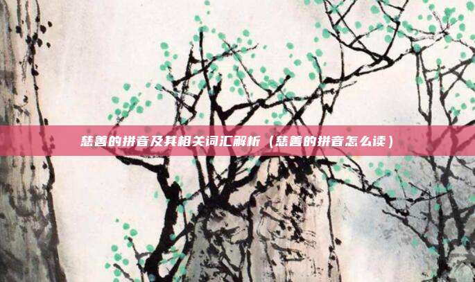 慈善的拼音及其相关词汇解析（慈善的拼音怎么读）