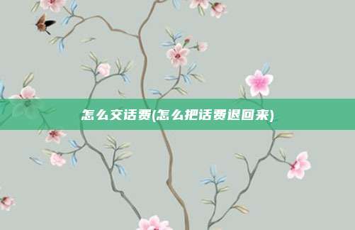 怎么交话费(怎么把话费退回来)