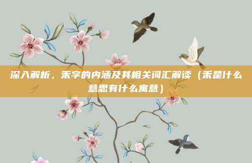 深入解析，禾字的内涵及其相关词汇解读（禾是什么意思有什么寓意）