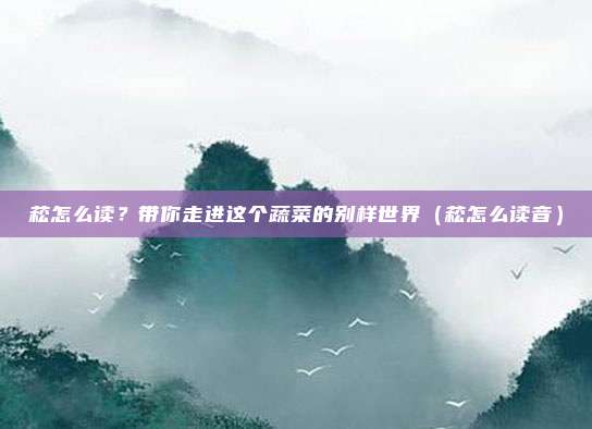 菘怎么读？带你走进这个蔬菜的别样世界（菘怎么读音）