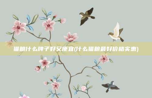 猫粮什么牌子好又便宜(什么猫粮最好价格实惠)