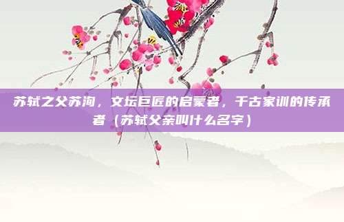 苏轼之父苏洵，文坛巨匠的启蒙者，千古家训的传承者（苏轼父亲叫什么名字）