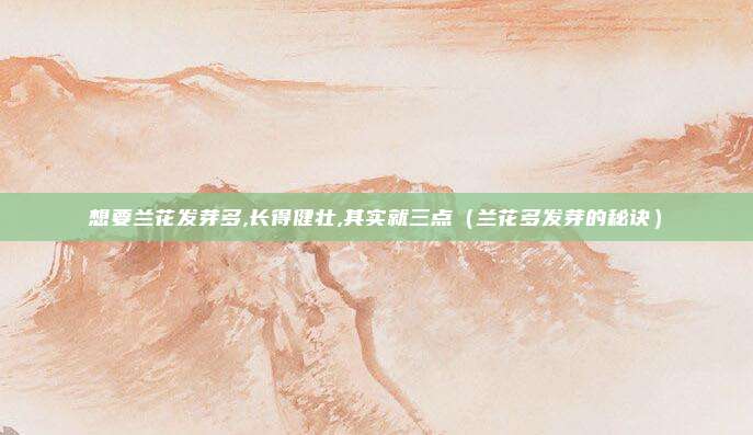 想要兰花发芽多,长得健壮,其实就三点（兰花多发芽的秘诀）
