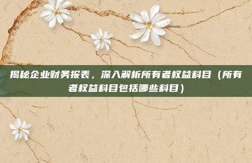 揭秘企业财务报表，深入解析所有者权益科目（所有者权益科目包括哪些科目）