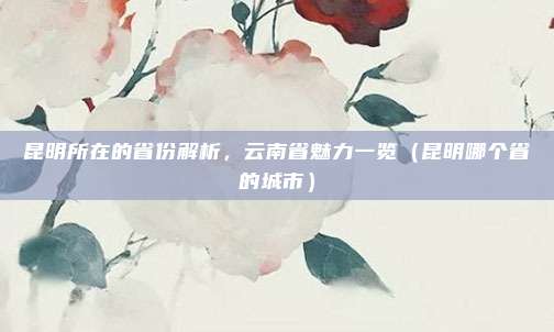 昆明所在的省份解析，云南省魅力一览（昆明哪个省的城市）