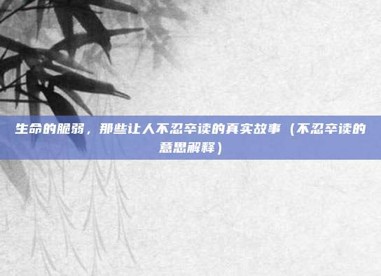 生命的脆弱，那些让人不忍卒读的真实故事（不忍卒读的意思解释）