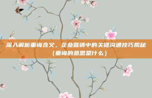 深入解析垂询含义，企业营销中的关键沟通技巧揭秘（垂询的意思是什么）